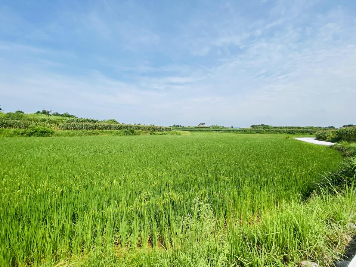 图片3.png 新球体育