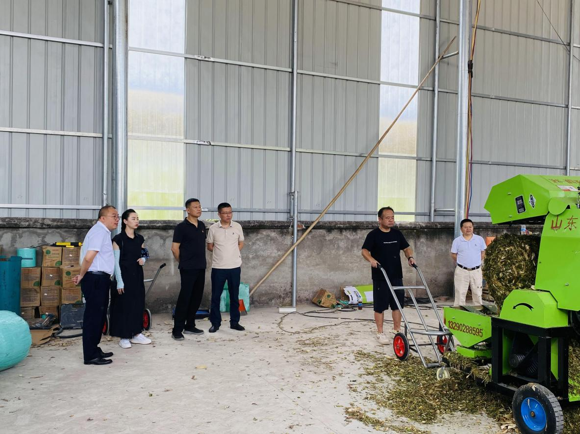 图片4.png 新球体育