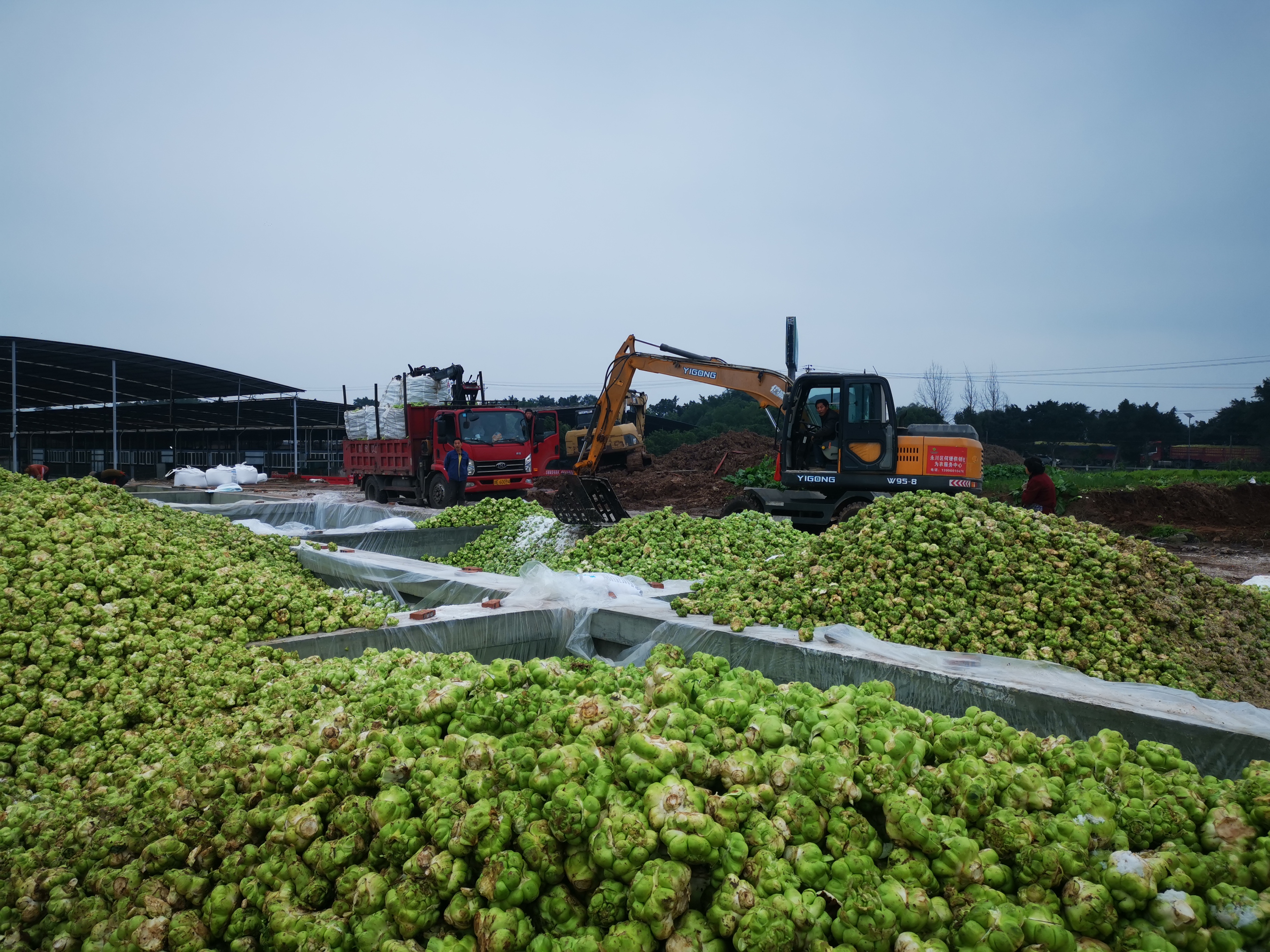 IMG_20250212_103558.jpg 新球体育