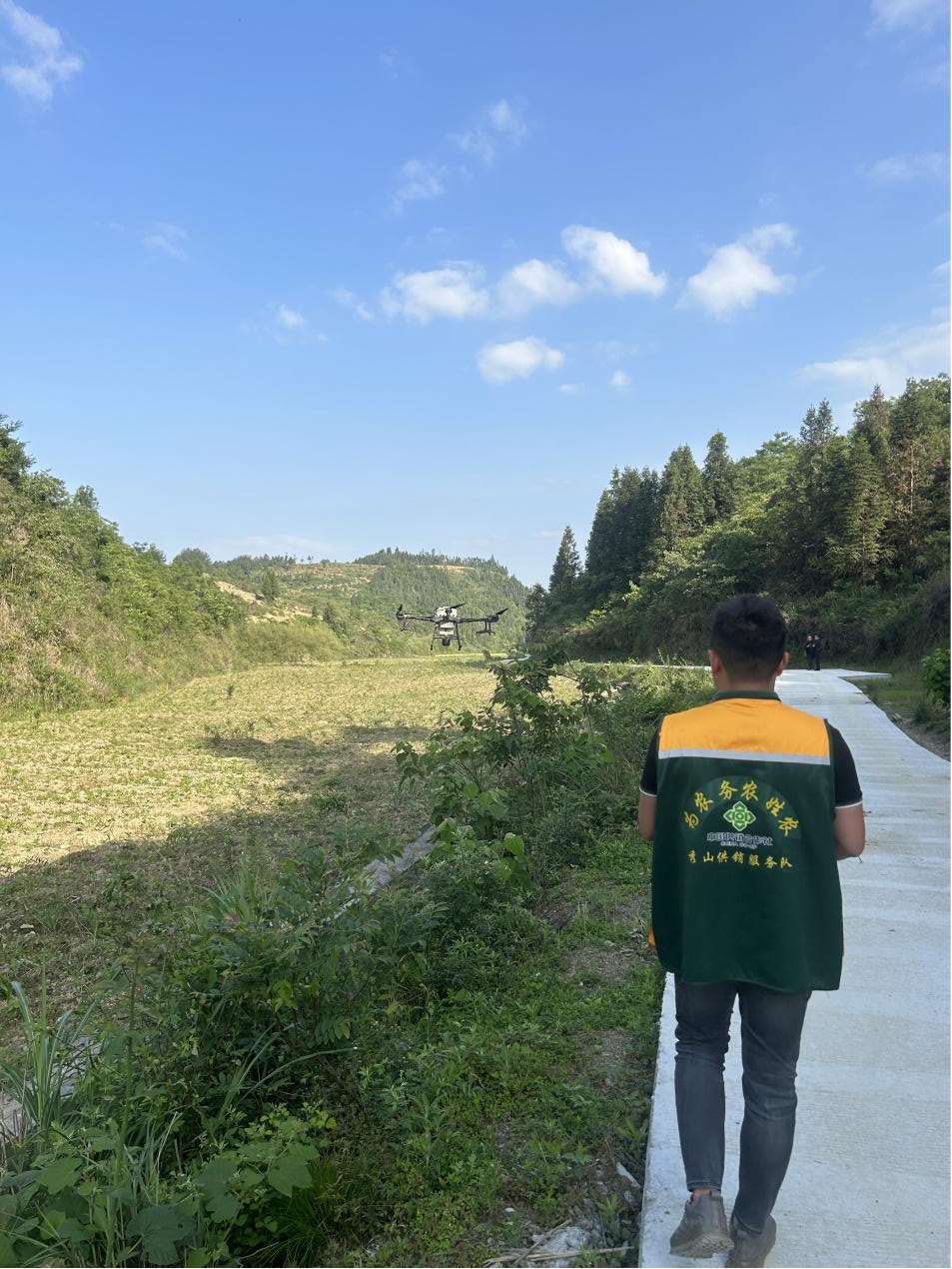 图片1.png 新球体育