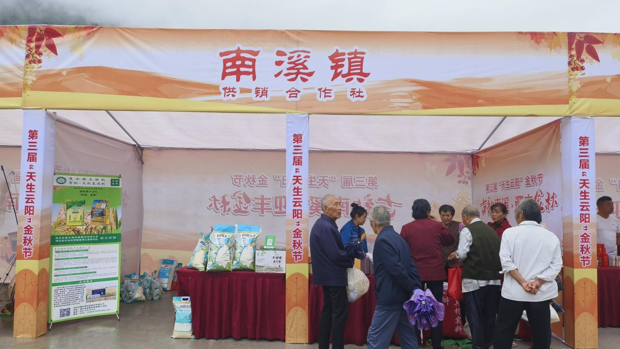 图片1.png 新球体育