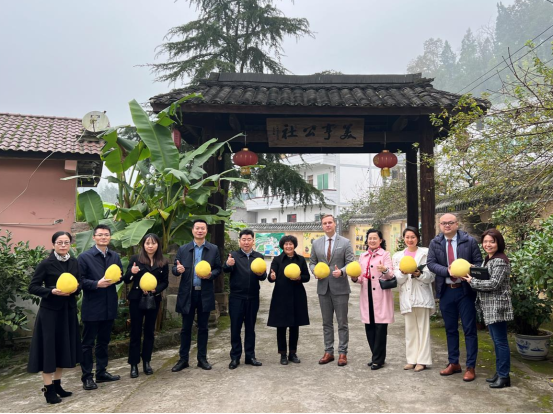 W020231215417759674311_ORIGIN.png 新球体育