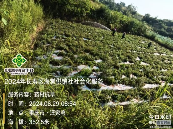 W020240903327588697292_ORIGIN.jpg 新球体育