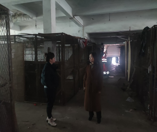 图片1.png 新球体育