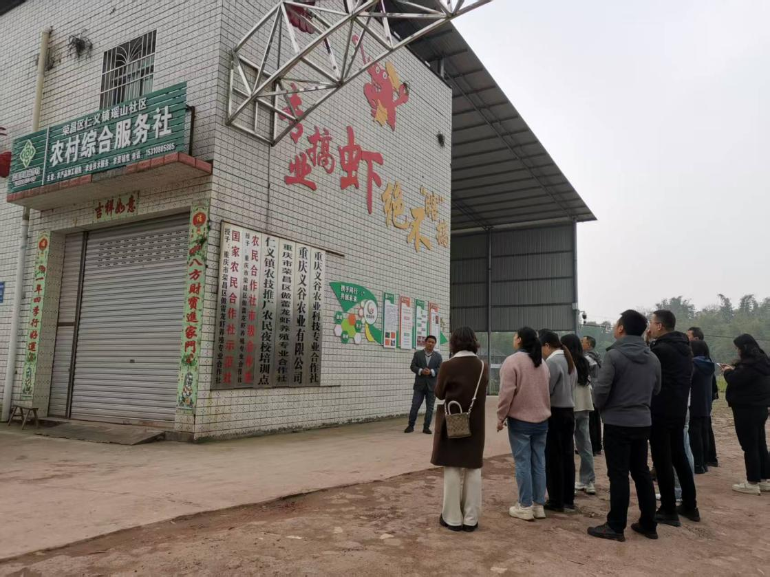 图片1.png 新球体育