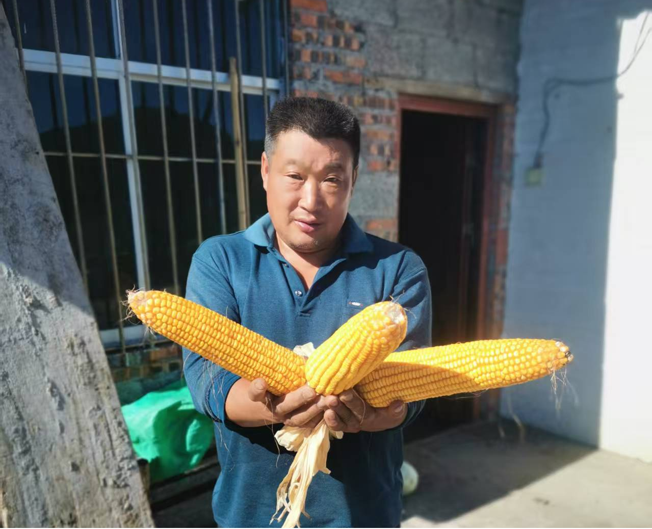 图片2.png 新球体育