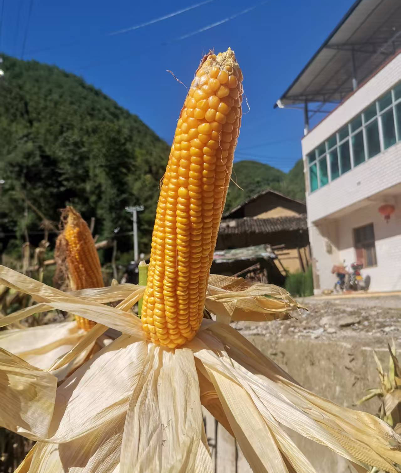 图片3.png 新球体育