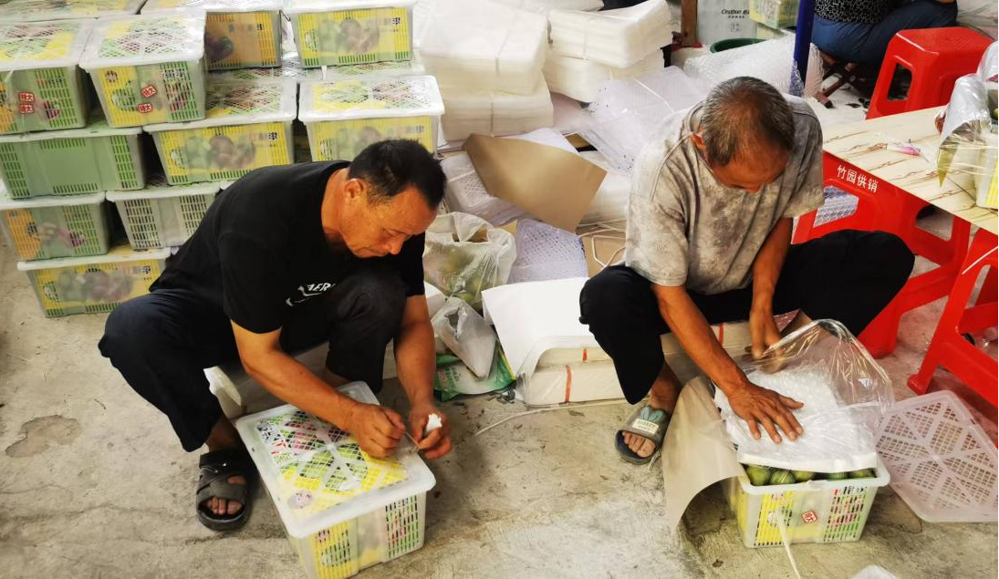 图片1.png 新球体育