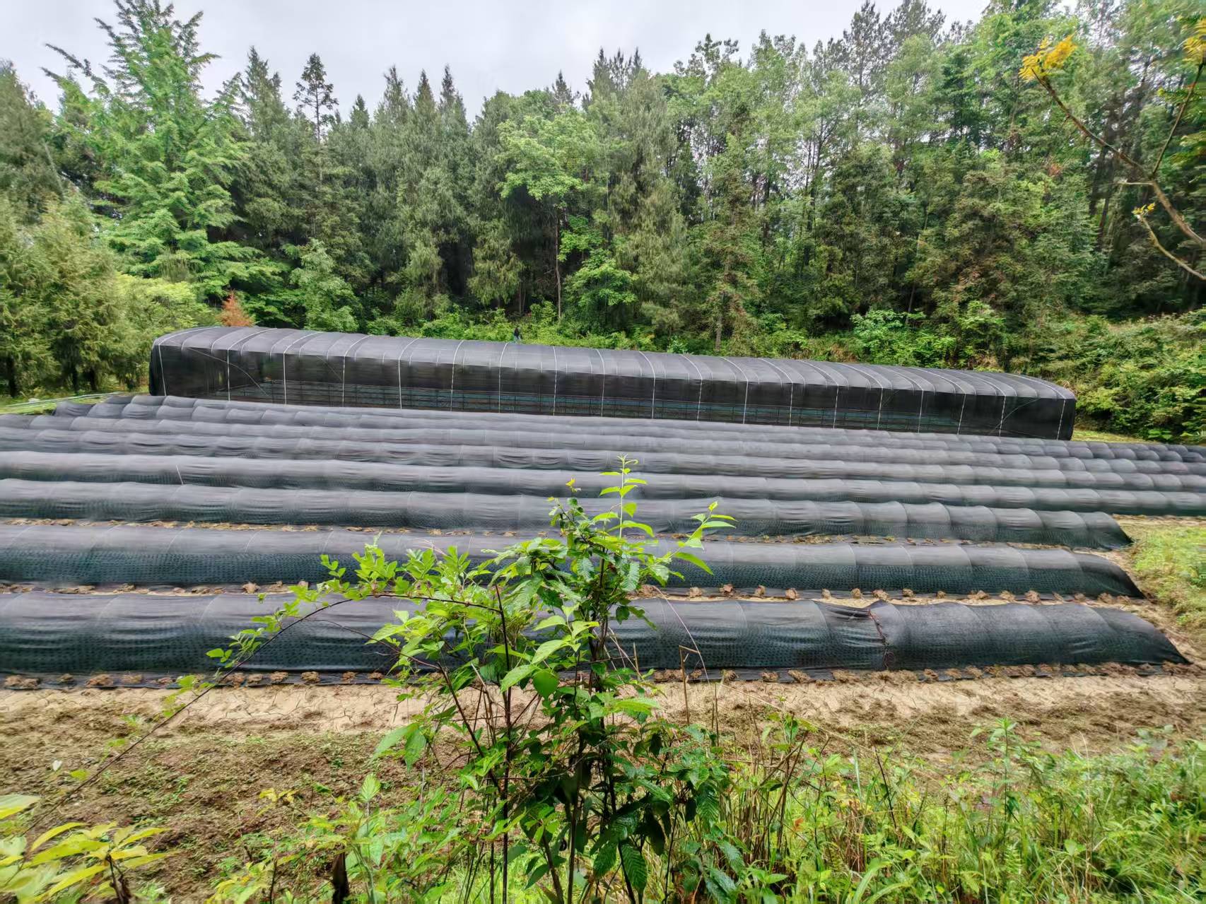 52b8c58ae63f15d38ab45b12d7bdc68.jpg 新球体育