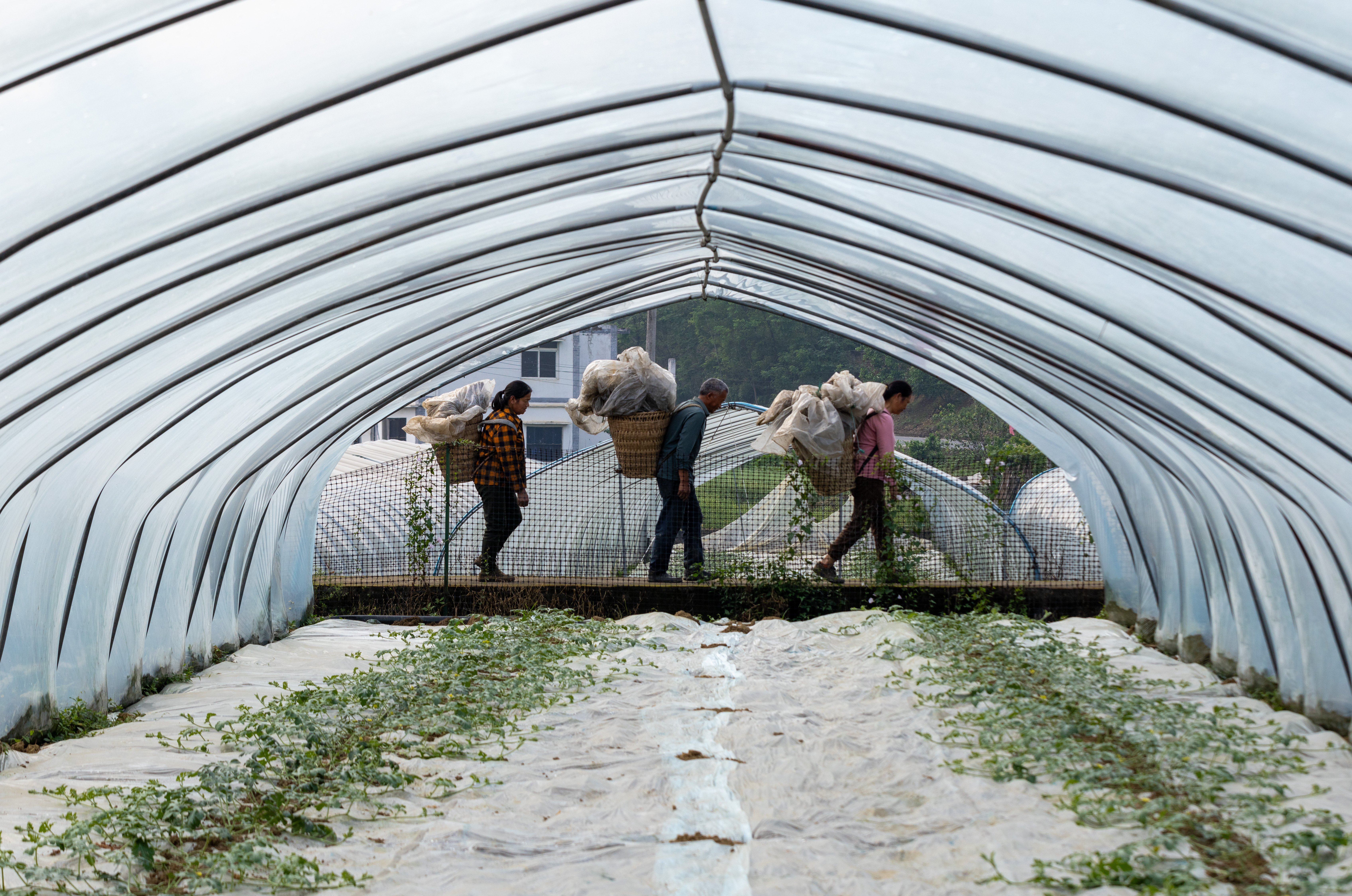 微信图片_20250520110037.jpg 新球体育