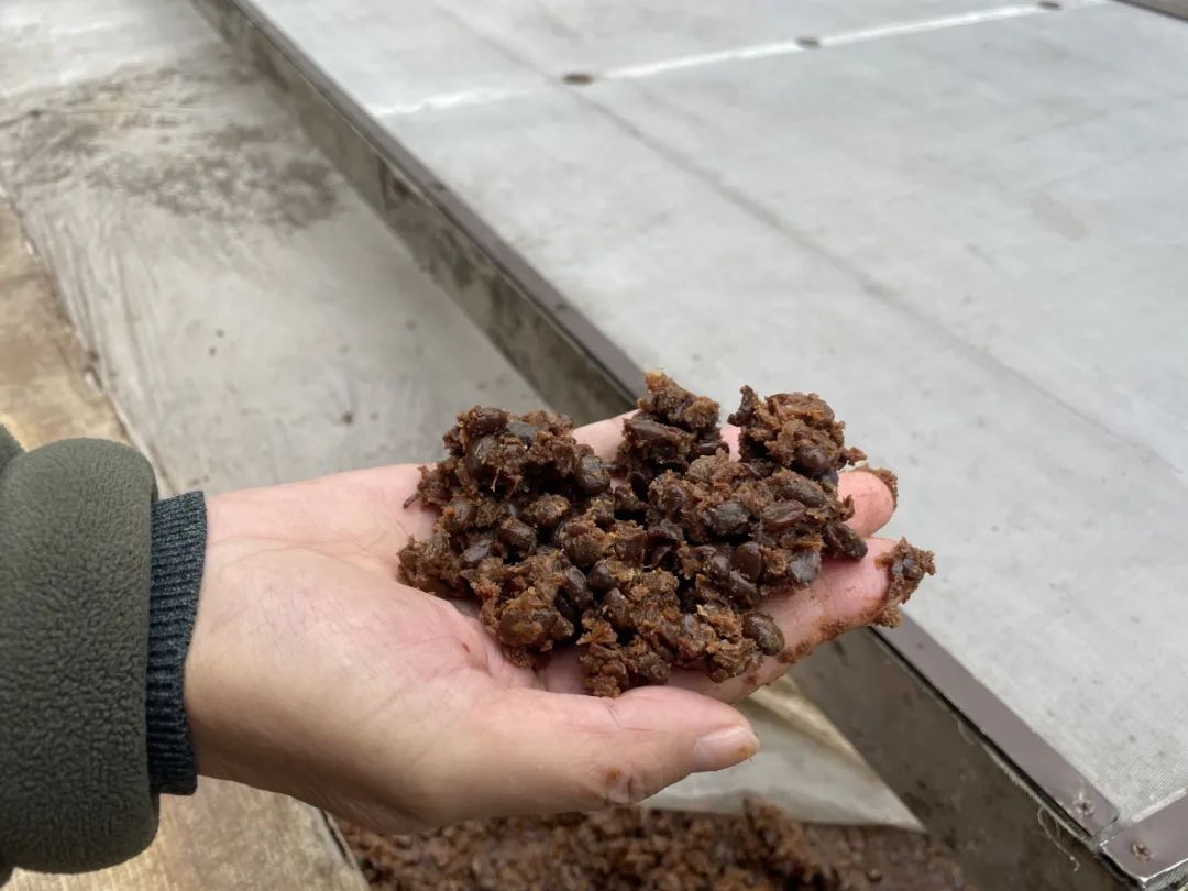 微信图片_20250611151848.jpg 新球体育