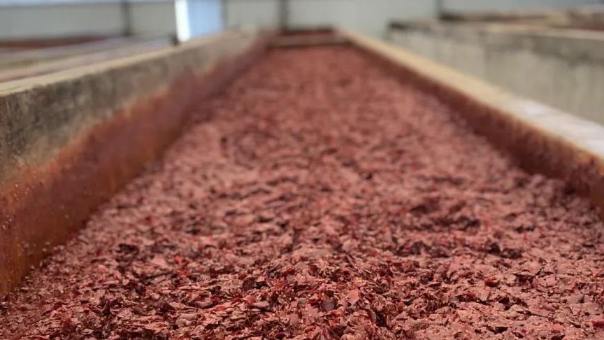 ST20250611548506607109.jpg 新球体育