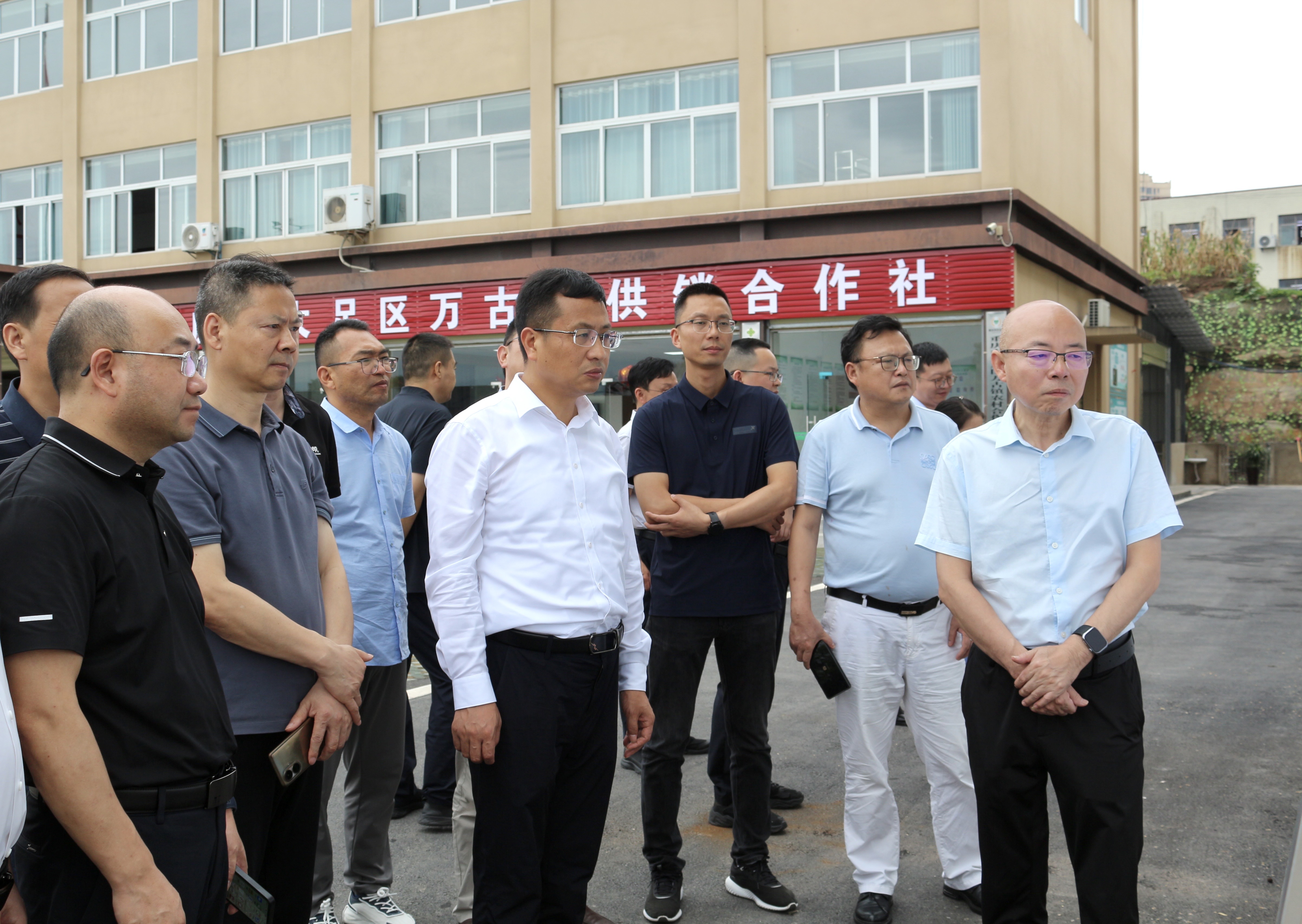 111.jpg 新球体育