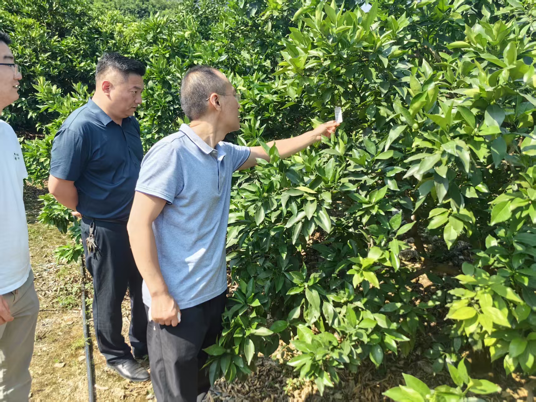 9ca23a55c2fae2cb3fdf65dc3e3f4e8.jpg 新球体育