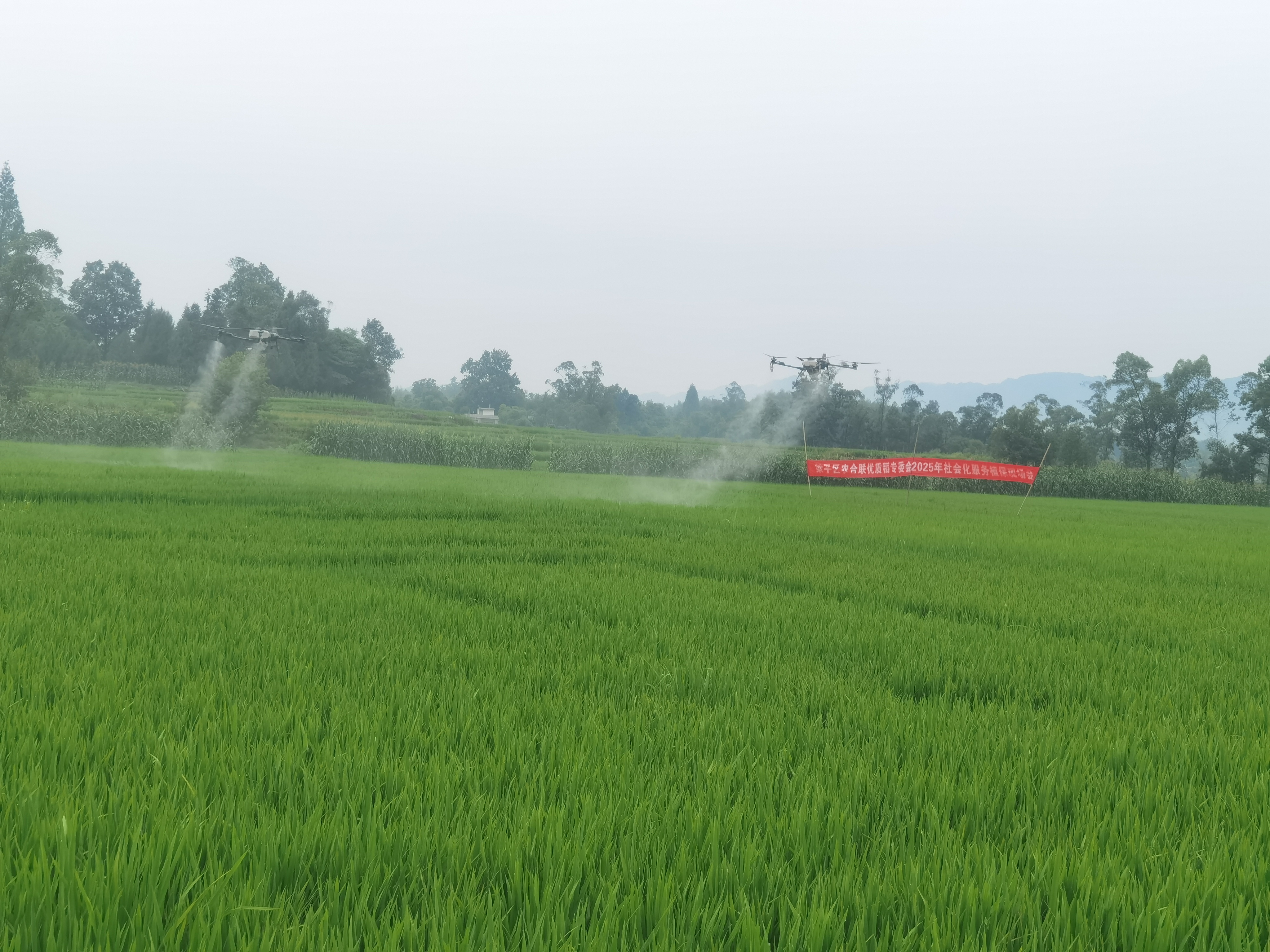 5be11fd8744c07509e2bced2cc8b485f.jpg 新球体育