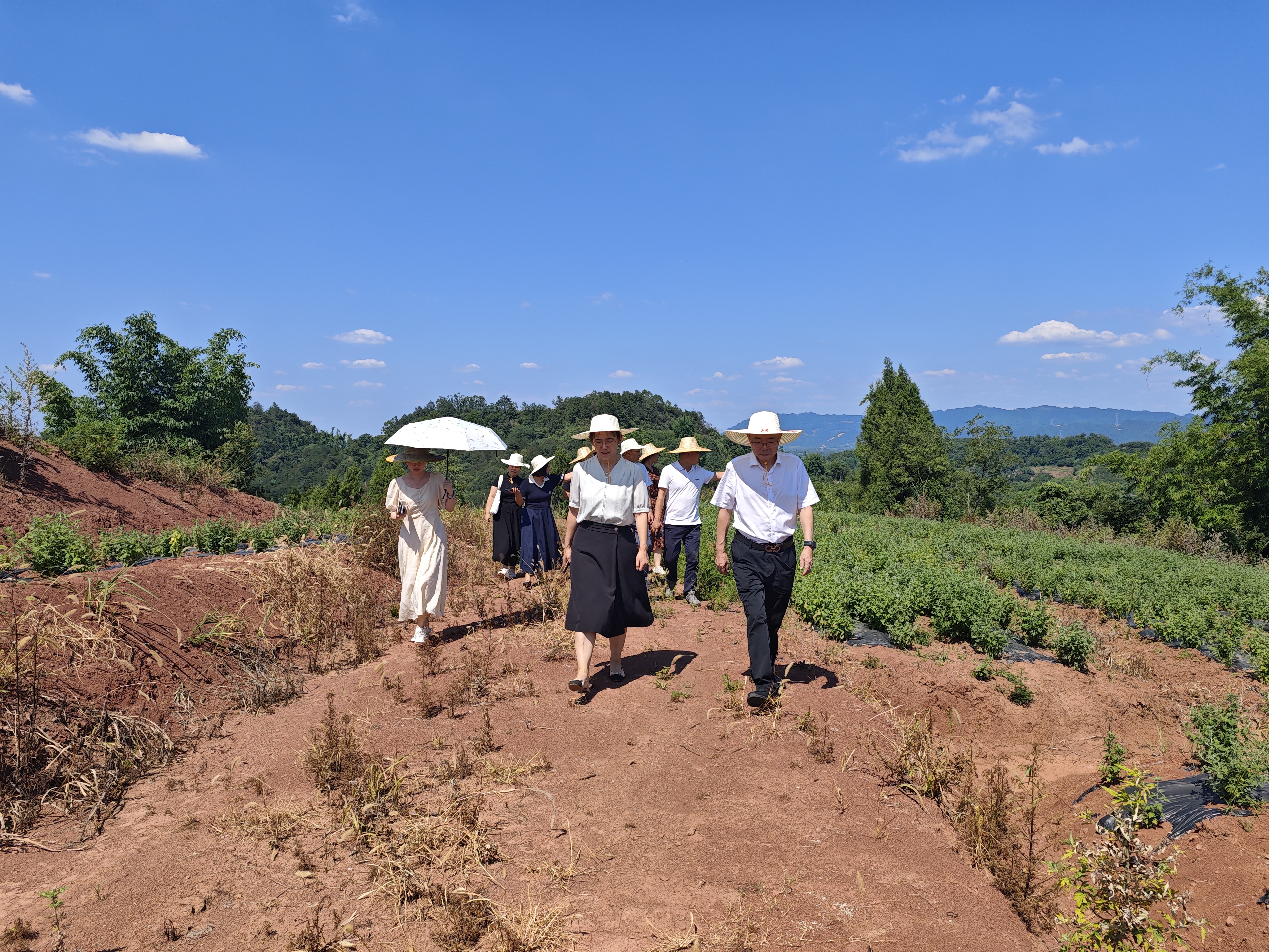 lQDPKdq-LPNheG3NDADNEACwYe0XrOIZbL8ISjtCczLLAA_4096_3072(1).jpg 新球体育