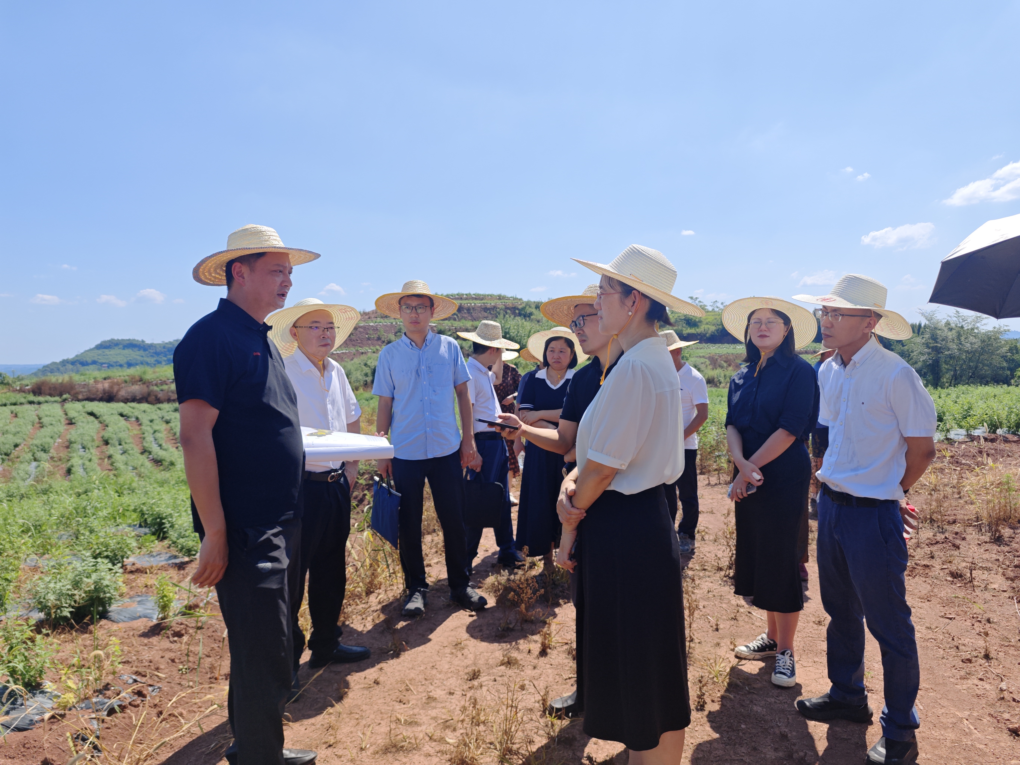 lQDPKGYGLVOigS3NDADNEACwwZx3AJZlaqAISjsKsL3YAA_4096_3072(1).jpg 新球体育