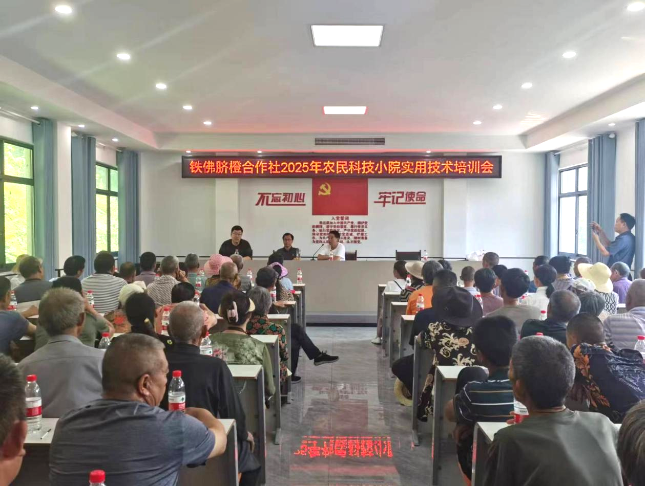 图片1.png 新球体育