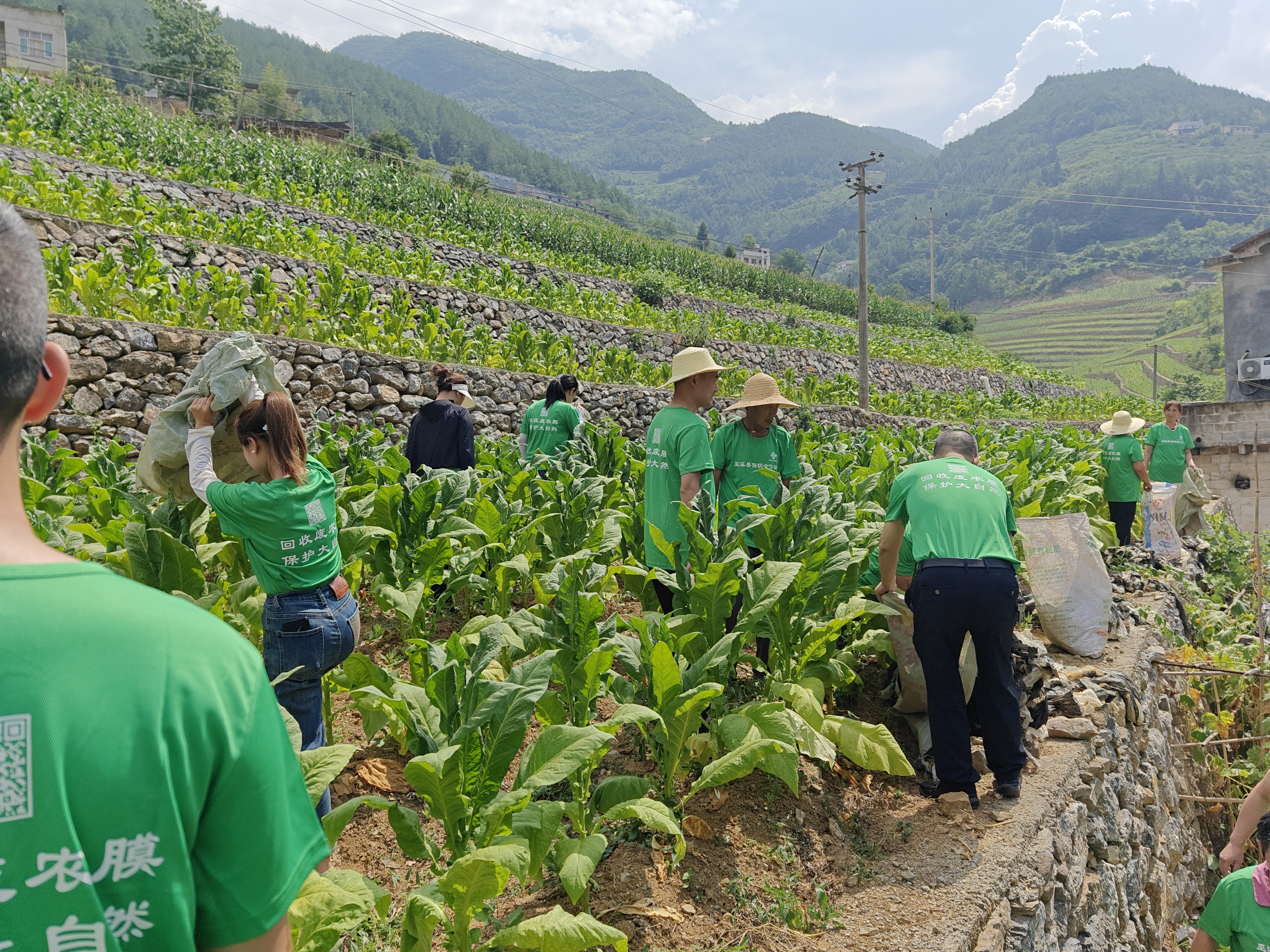 微信图片_20250718090837.jpg 新球体育