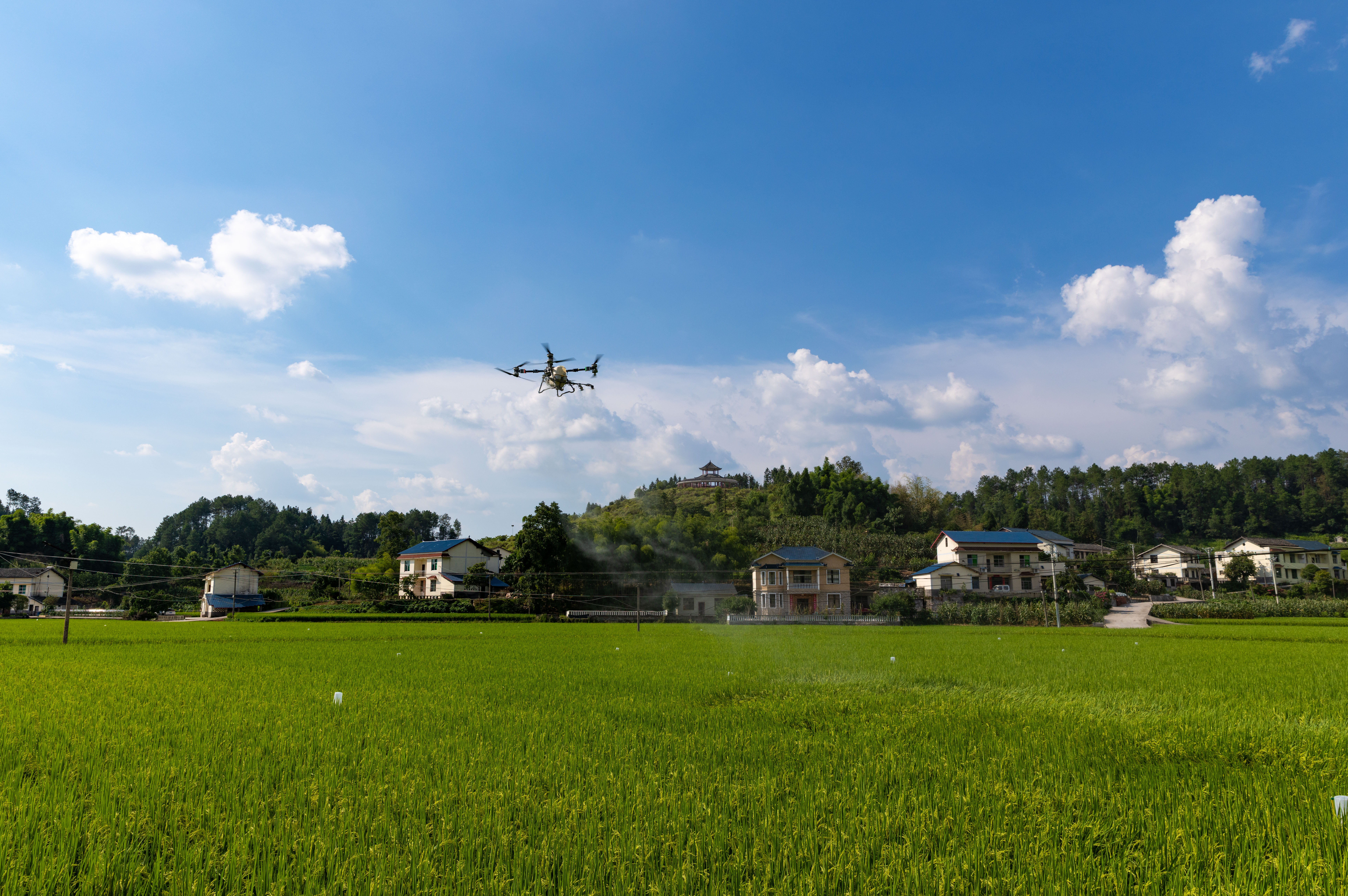 微信图片_20250731150032.jpg 新球体育