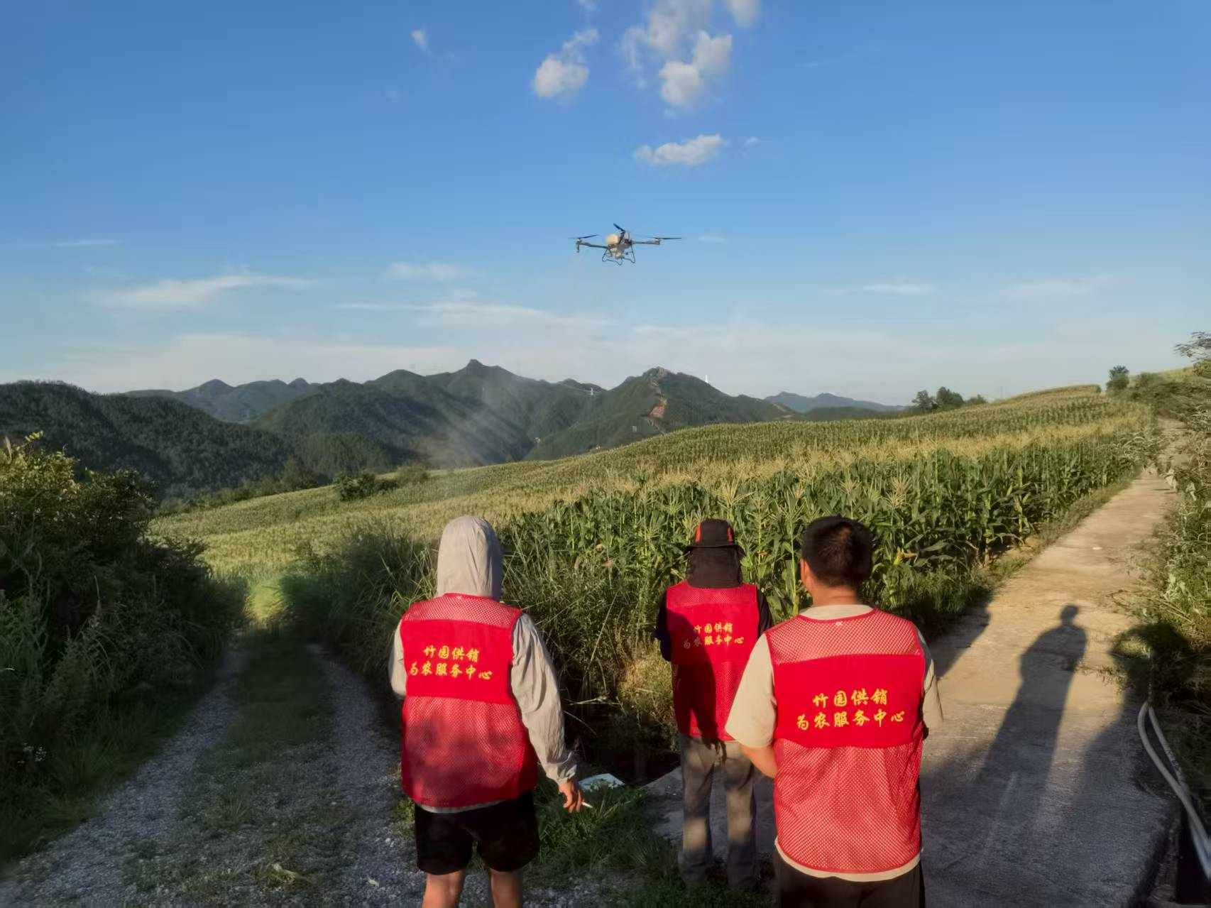 图片1.png 新球体育