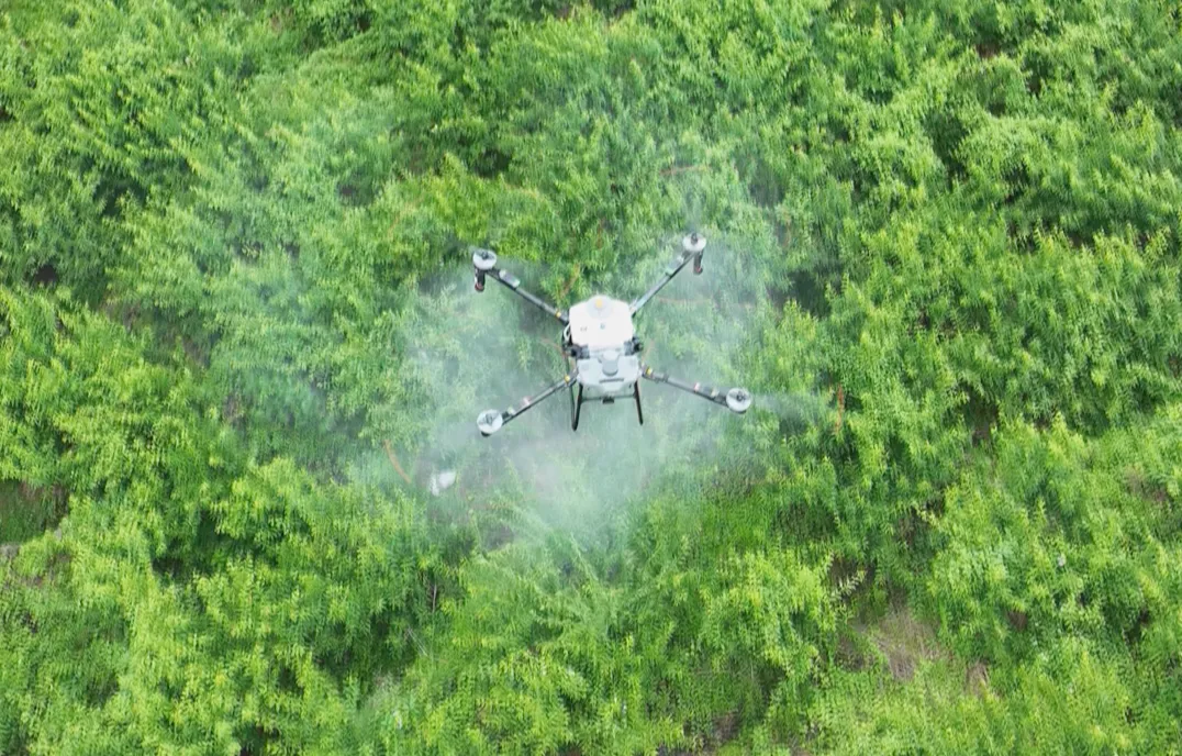 图片1.png 新球体育