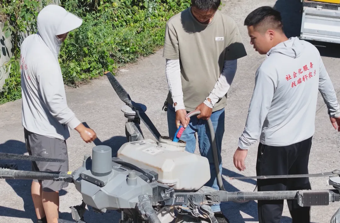 图片2.png 新球体育