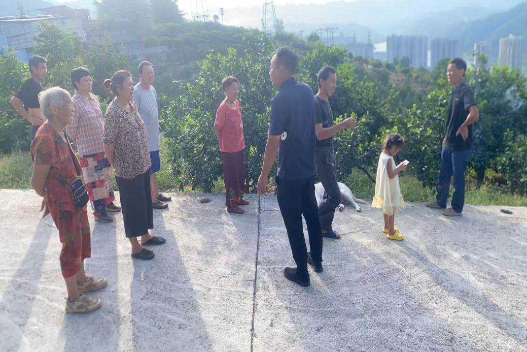 图片2.png 新球体育