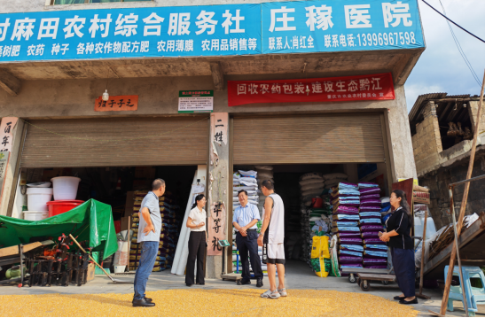 image.png 新球体育