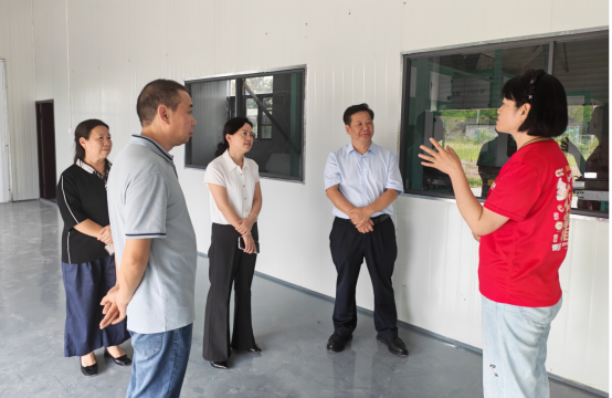 image.png 新球体育