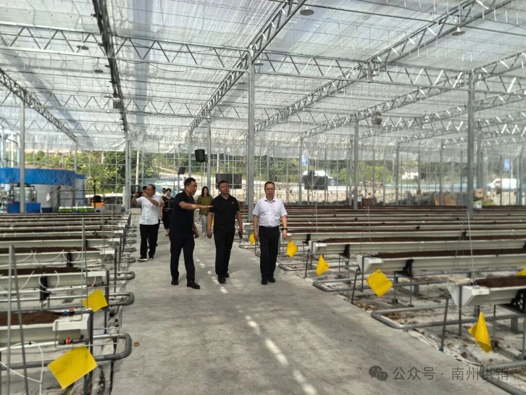 微信图片_20250919152747.jpg 新球体育