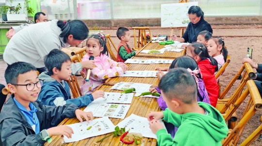 1014343986868896.jpg 新球体育