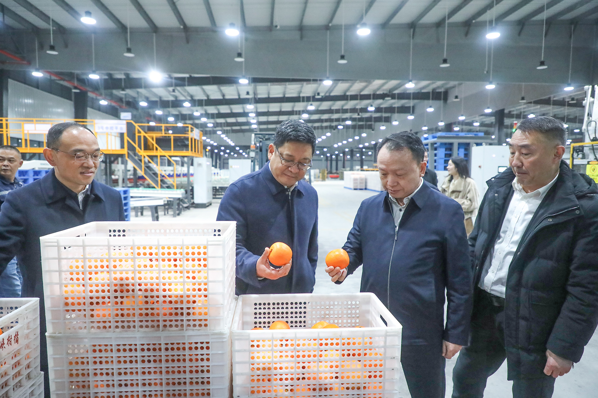 图片3.png 新球体育