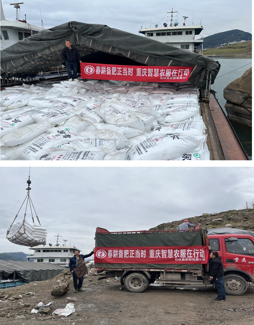 image.png 新球体育