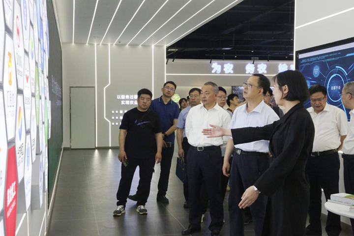 image.png 新球体育