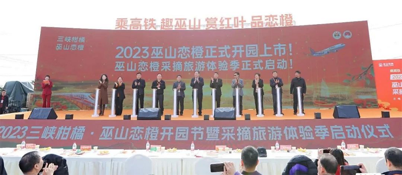 图片5.png 新球体育