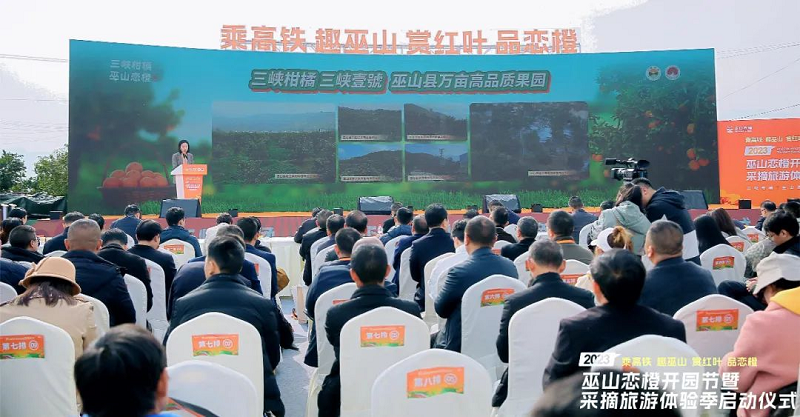 图片6.png 新球体育