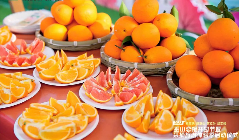 图片8.png 新球体育