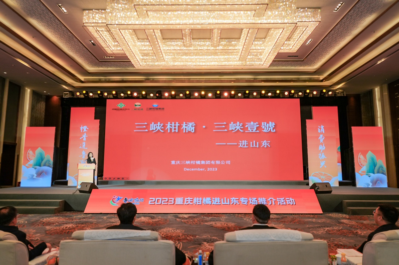 图片10.png 新球体育