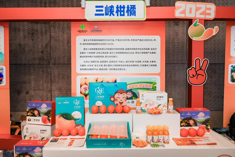 图片12.png 新球体育