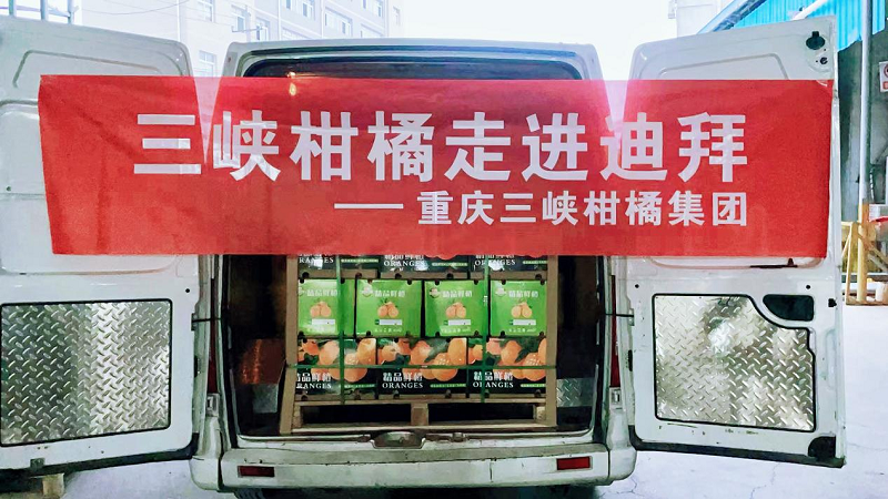 图片10.png 新球体育