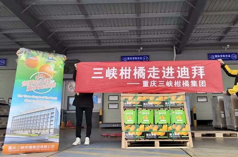 图片12.png 新球体育