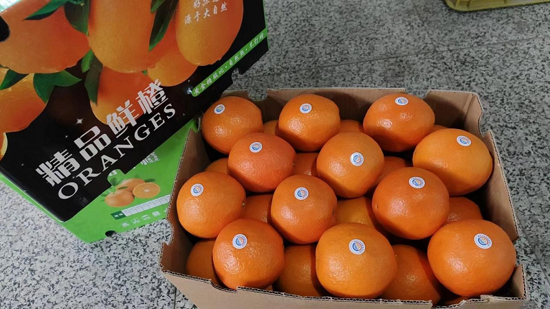 图片11.png 新球体育