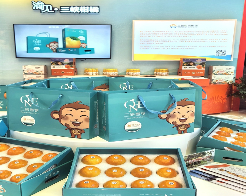 图片13.png 新球体育