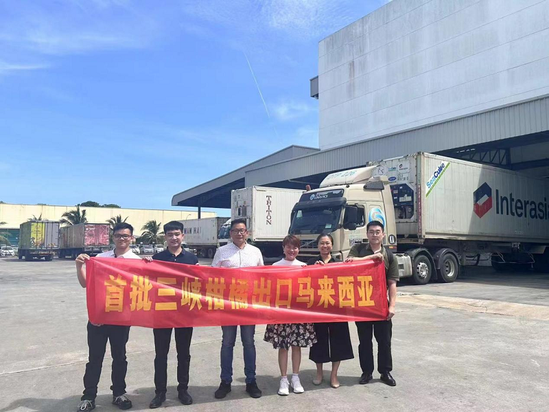 图片25.png 新球体育