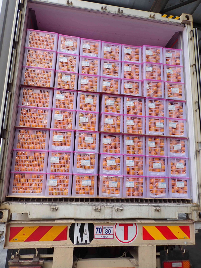 图片26.png 新球体育