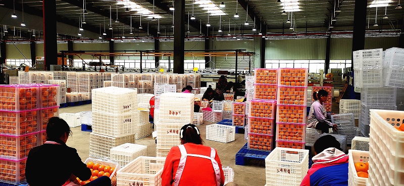 微信图片_20240603163729.jpg 新球体育