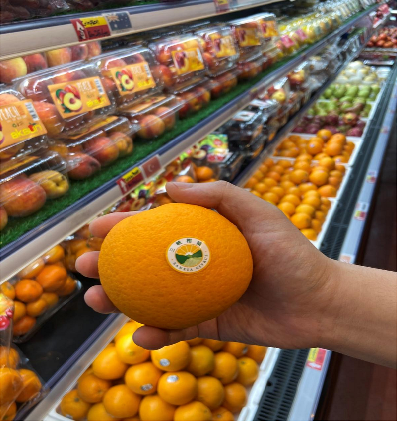 图片27.png 新球体育