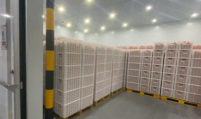 微信图片_20240603163725.png 新球体育