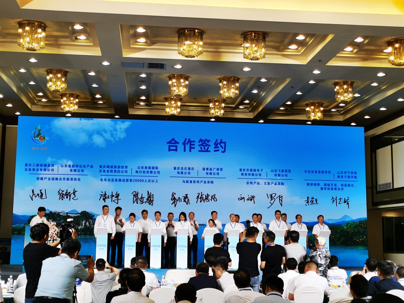 图片10.png 新球体育